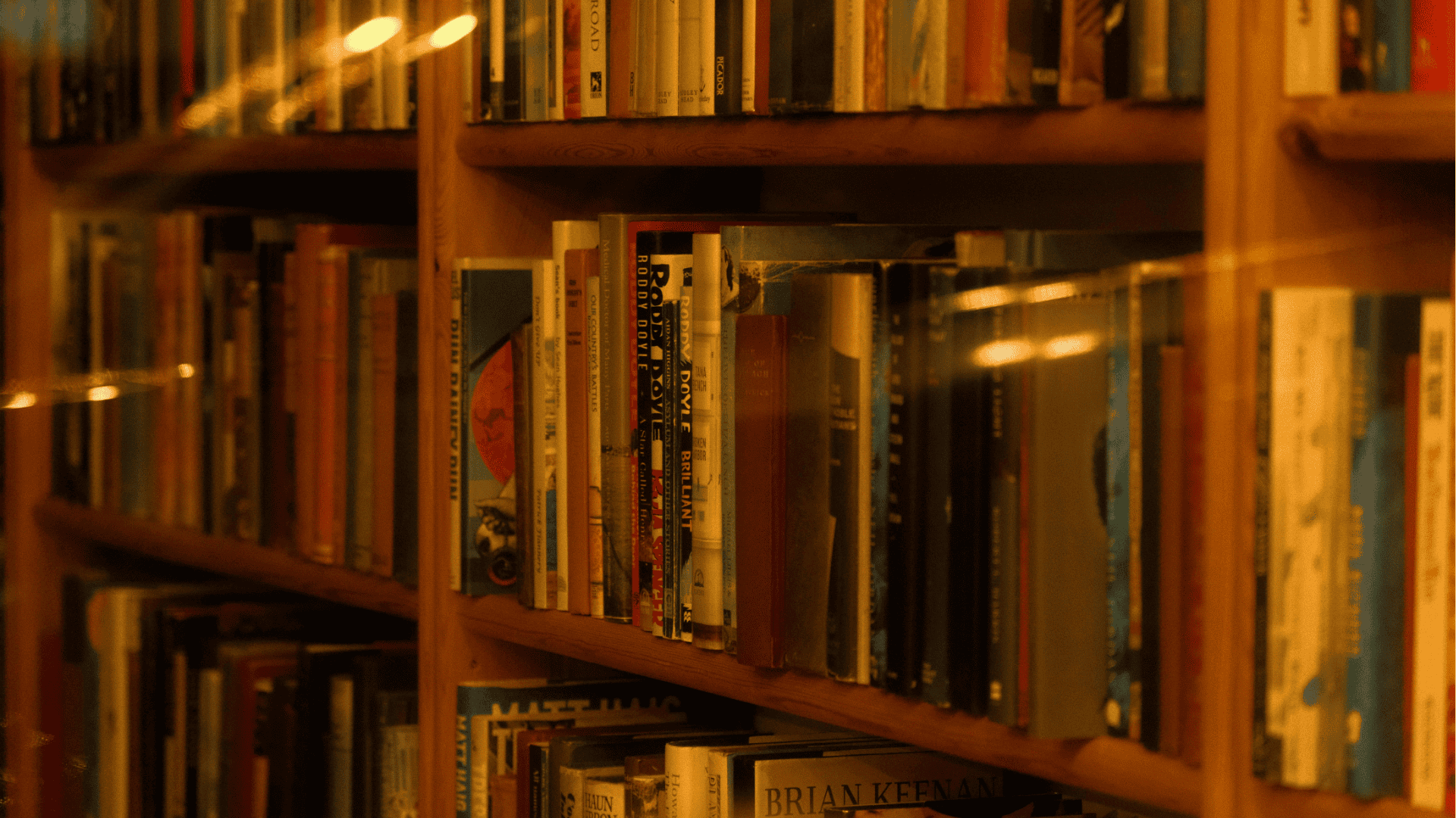 Warmly lit bookshelf filled with fiction, memoir, and literary nonfiction, the kind of well-read collection that informs a memoir beta reader's understanding of how personal stories connect with audiences.